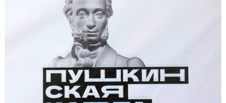 Матрица пушкинская карта